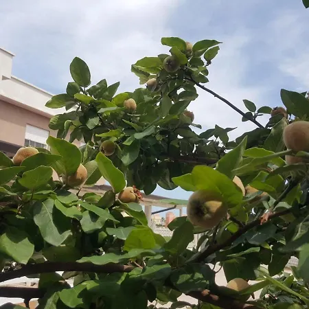 Al Mare Nel Aparthotel *